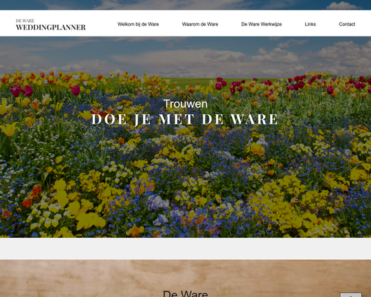 De Ware Weddingplanner Logo